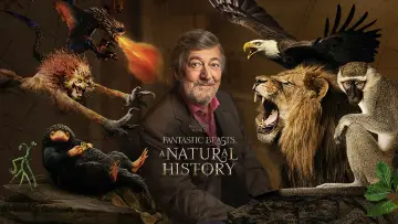 Задник до фильму"Fantastic Beasts: A Natural History" #1060583