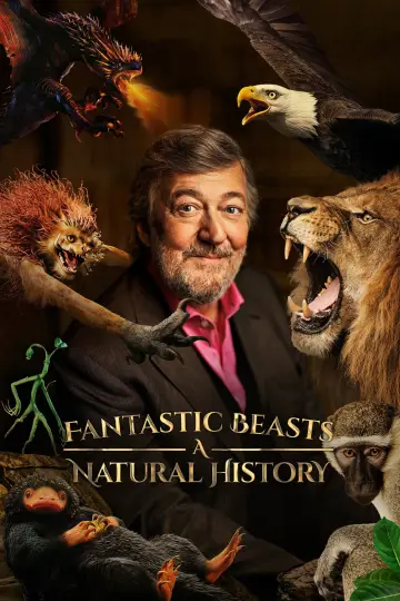 Постер до фильму"Fantastic Beasts: A Natural History" #1060590