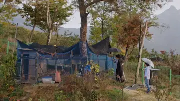 Задник до фильму"도망친 여자" #397537
