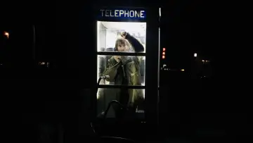 Задник до фильму"Ted K" #349551