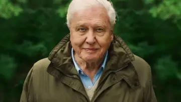 Задник до фильму"David Attenborough: A Life on Our Planet" #335033