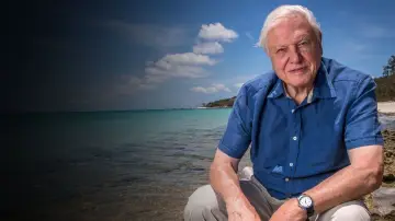 Задник до фильму"David Attenborough: A Life on Our Planet" #335038
