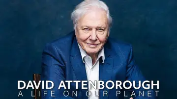 Задник до фильму"David Attenborough: A Life on Our Planet" #811998