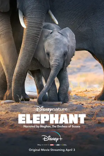 Постер до фильму"Elephant" #1078452