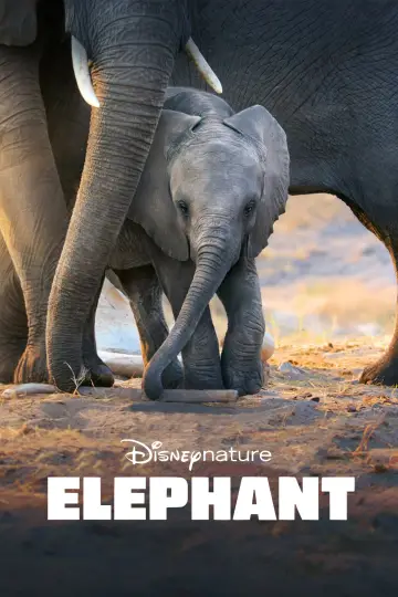 Постер до фильму"Elephant" #1078454