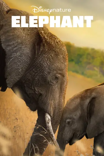 Постер до фильму"Elephant" #1078455