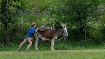 Задник до фильму"Antoinette dans les Cévennes" #435327