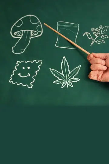 Have a Good Trip: Adventures in Psychedelics