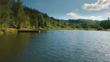 Задник до фильму"Голодні ігри: Балада про співочих пташок і змій" #837887