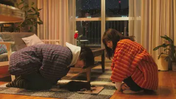 Задник до фильму"花束みたいな恋をした" #894137