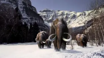 Задник до фильму"The Mammoth. Titan of the Ice Age" #983194