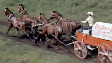 Задник до фільму "Chuckwagon" #1578841