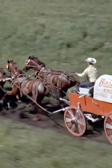 Chuckwagon постер