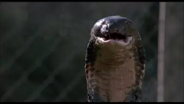 Задник до фильму"Sssssss" #394978