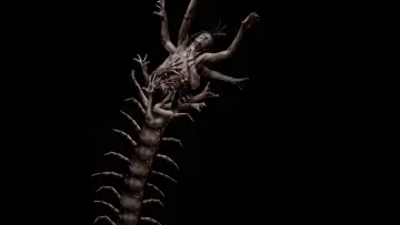 Задник до фильму"The Human Centipede 2 (Full Sequence)" #320725