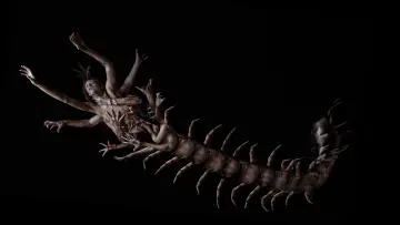 Задник до фильму"The Human Centipede 2 (Full Sequence)" #320728