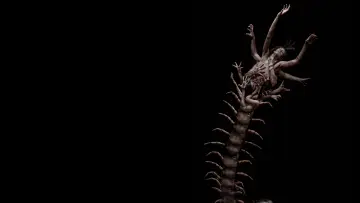 Задник до фильму"The Human Centipede 2 (Full Sequence)" #835451