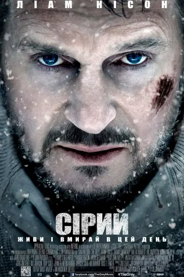 Постер до фильму"Сірий" #698136