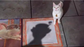 Задник до фильму"The Cat That Looked at a King" #1035554