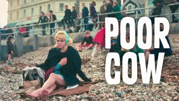 Задник до фильму"Poor Cow" #1141855