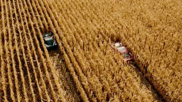 Задник до фильму"Повернення героя" #871719