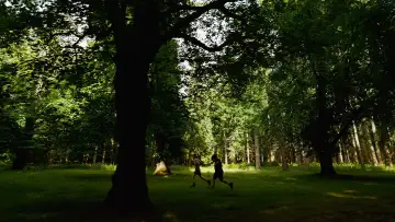Задник до фильму"Буґонія" #511905
