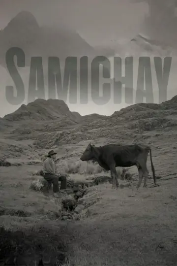 Samichay постер