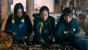 Задник до фильму"海辺の彼女たち" #1194445