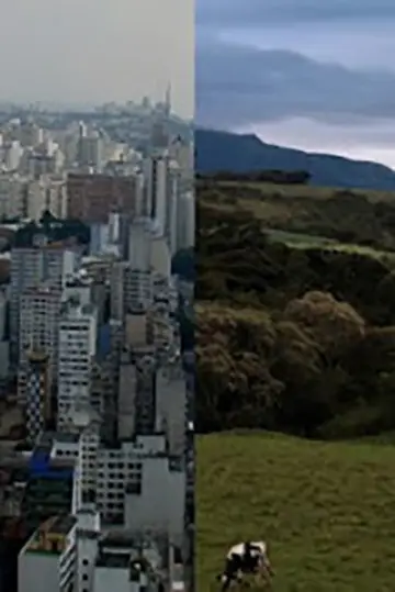 Постер до фильму"Cidade; Campo" #366668