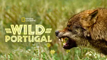 Задник до фильму"Wild Portugal" #1033253