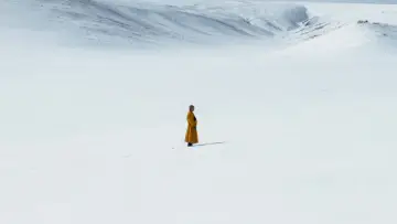 Задник до фильму"The Medicine Buddha" #403293