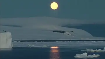 Задник до фильму"Antarctica: A Frozen History" #1144644
