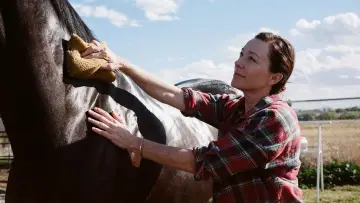 Задник до фільму "Jockey" #1854148