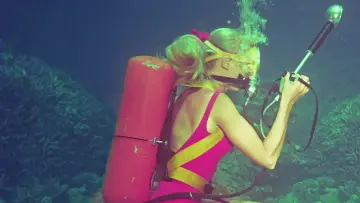Задник до фільму "Playing with Sharks" #1869956