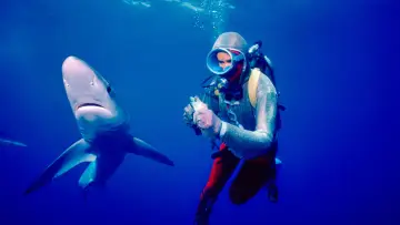 Задник до фільму "Playing with Sharks" #1869958