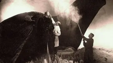 Задник до фильму"Die Sprache der Schatten: Das Meisterstück: Faust" #1149488