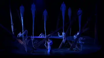 Задник до фільму "Dvořák:  Rusalka" #1250724