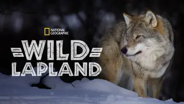Задник до фільму "Wild Lapland" #1658245
