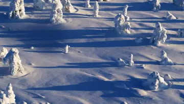 Задник до фільму "Wild Lapland" #1658249