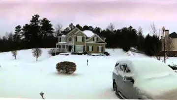 Задник до фильму"Snowmageddon" #1150136