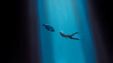 Задник до фильму"Blueback" #401987