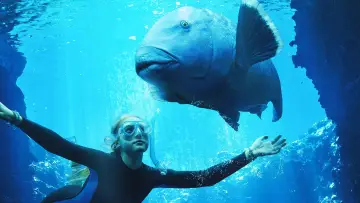 Задник до фильму"Blueback" #401993