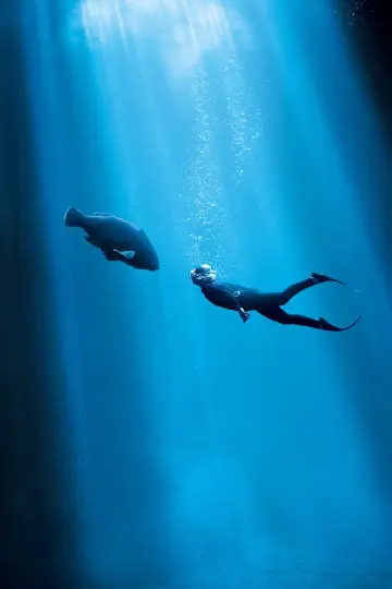 Постер до фильму"Blueback" #402004