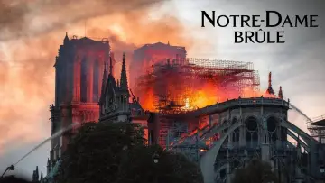 Задник до фильму"Notre-Dame brûle" #481252