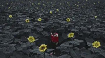 Задник до фильму"朝云暮雨" #686678
