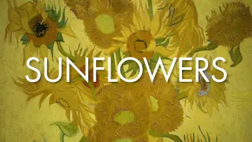 Задник до фильму"Sunflowers" #719692