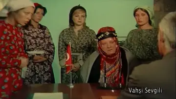 Задник до фильму"Vahşi Sevgili" #1173754