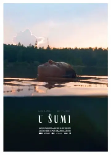 Постер до фильму"U šumi" #1194633