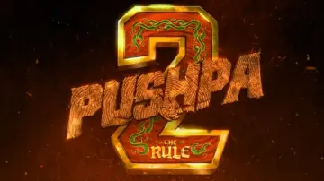 Задник до фильму"పుష్పా 2 - The Rule" #535447