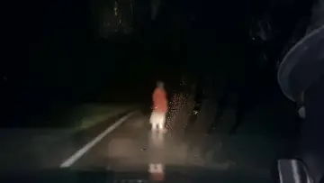 Задник до фильму"Dashcam" #407025